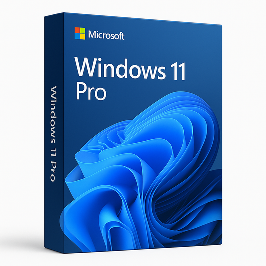 Windows 11 Pro - PC