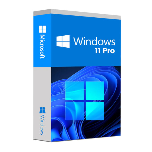 Microsoft Windows 11 Professional